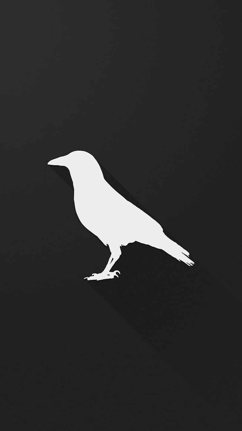 Cuervo, alan, pájaro, oscuro, muerte, edgar, nunca más, poe, cuervo, Fondo  de pantalla de teléfono HD | Peakpx