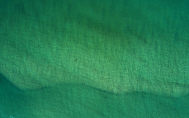 Playa, mar, verde, agua, naturaleza, skyview, Fondo de pantalla HD | Peakpx