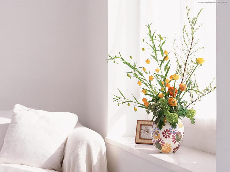 flowers corner, window, flovers vase, bonito, room corner, foteille, HD wallpaper