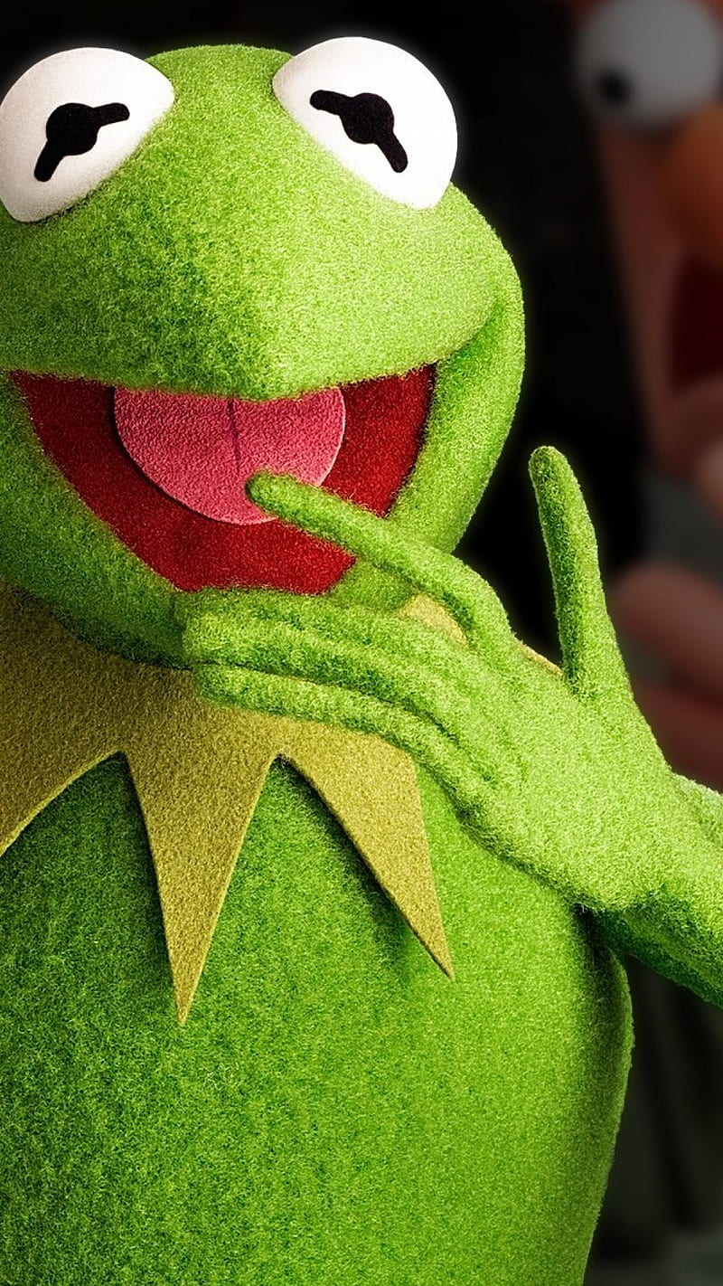 Kermit Frog Funny Hd Phone Wallpaper Peakpx