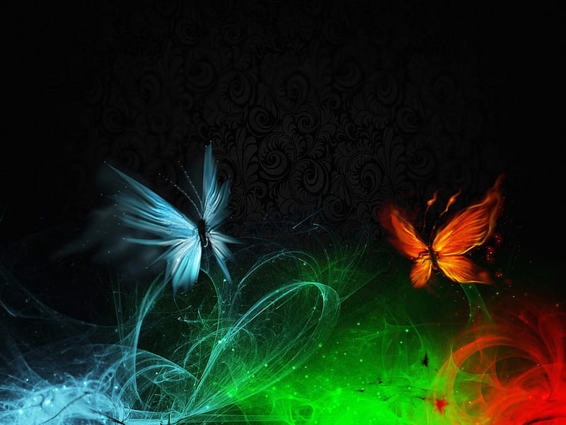 Mix of The bests, colors, butterfly, fractal, HD wallpaper