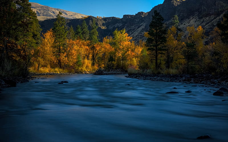 Naches River, mountain river, autumn, sunset, forest, mountain landscape, USA, Washington State, HD wallpaper
