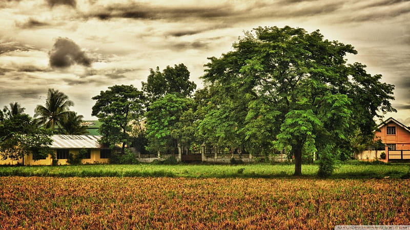 beautiful rural scene r, farm, fields, r, trees, clouds, HD wallpaper