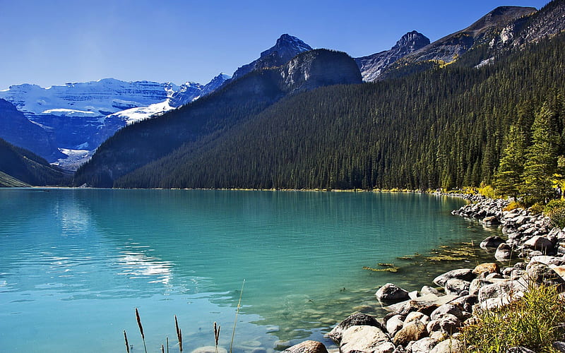 mountains, canada, blue lake, lake louise, lake, alberta, HD wallpaper
