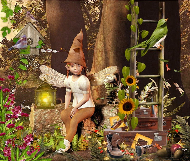 Forest, bird, elf, fairy, wood, HD wallpaper