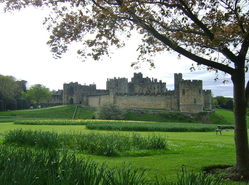 Alnwick castle, alnwick, medieval, england, northumberland, castle, HD wallpaper