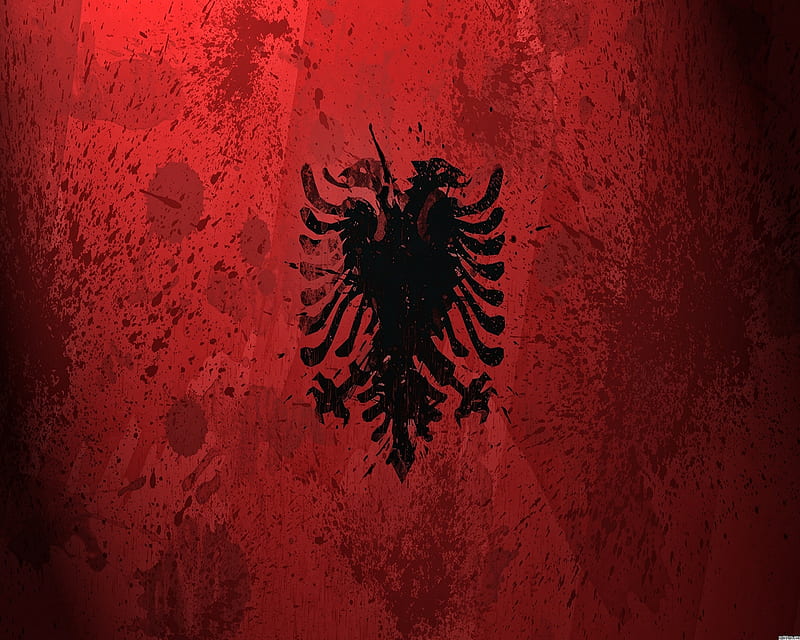 Albania Full , kosovo, red and black, shqiponja, HD wallpaper