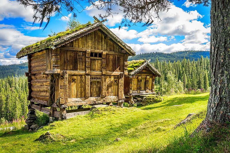 Casas de madera en la montaña, bonita, bosque, vista, césped, casas,  hermosa, Fondo de pantalla HD | Peakpx