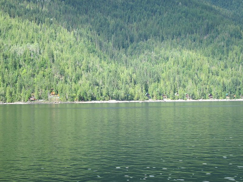 shuswaps-lakes-in-bc-canada-27-graphy-green-houses-lakes-trees