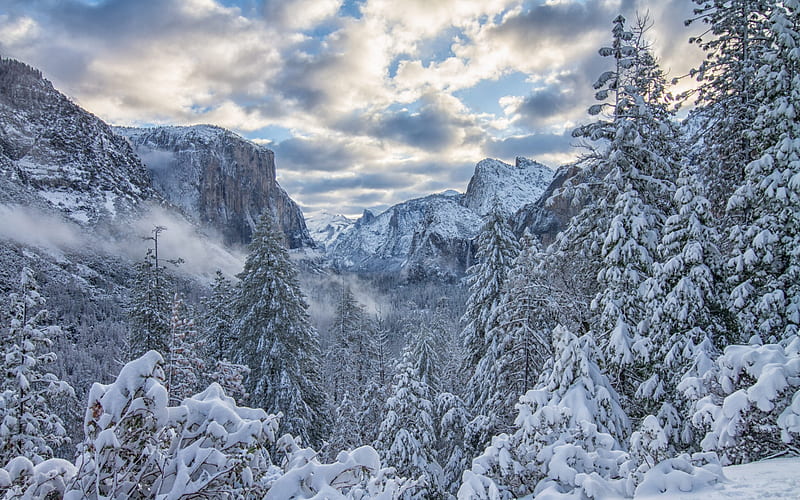 winter landscape, mountains, forest, snow covered trees, snow, Yosemite Valley, Yosemite National Park, Sierra Nevada, California, USA, HD wallpaper