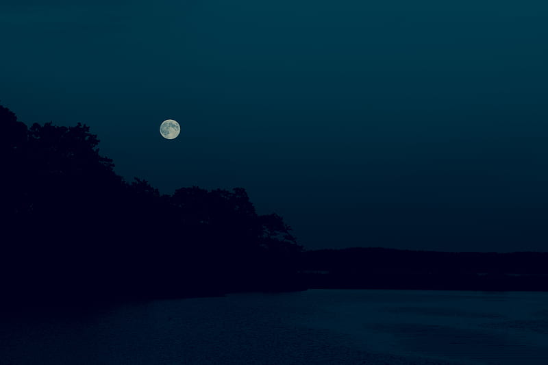 night, dark, moon, trees, shore, HD wallpaper