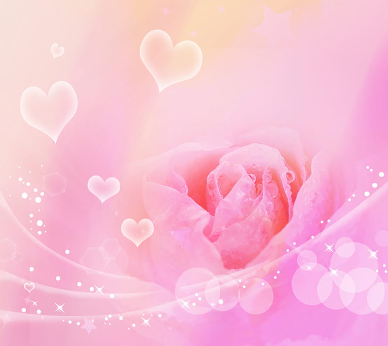 pink rose, with love, pretty, chocolate, valentine, sweet, nice, love, flowers, beauty, tulips, harmony, valentines day, lovely, romance, holiday, ribbon, i love you, cool, heart, candy, bonito, still life, graphy, for you, pink, tulip, romantic, colors, soft, elegantly, delicate, bouquet, flower, HD wallpaper