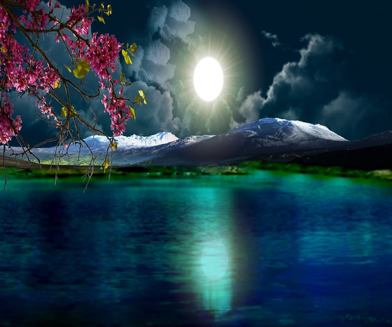 Full Moon Night, clouds, lake, nature, HD wallpaper