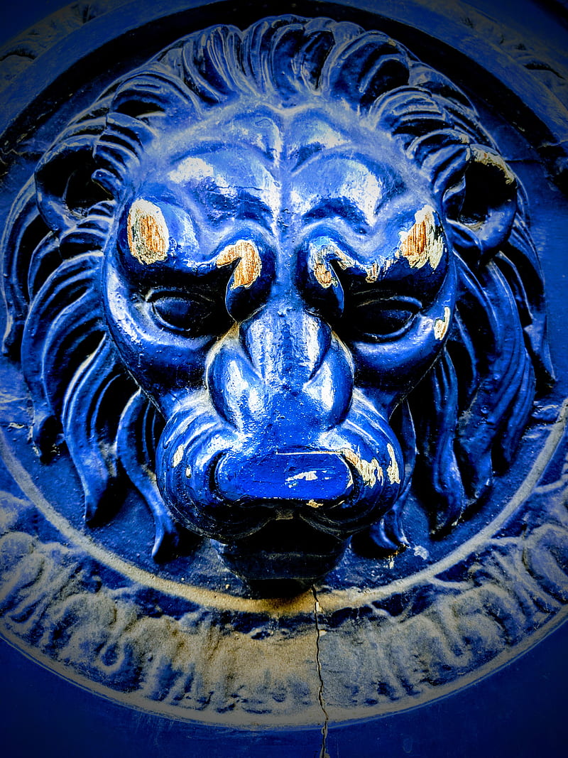 Blue Lion, door, france, mont st michel, paris, HD phone wallpaper