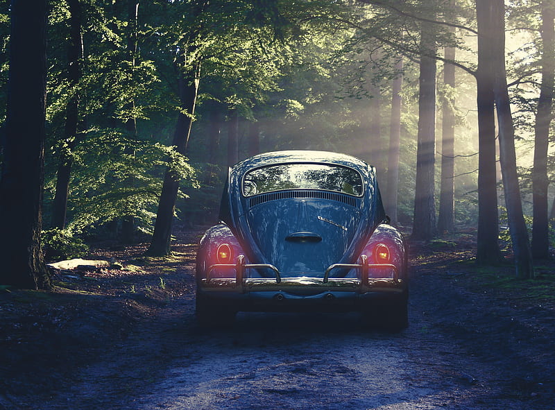 retro cars, back view, forest, trees, Vehicle, HD wallpaper