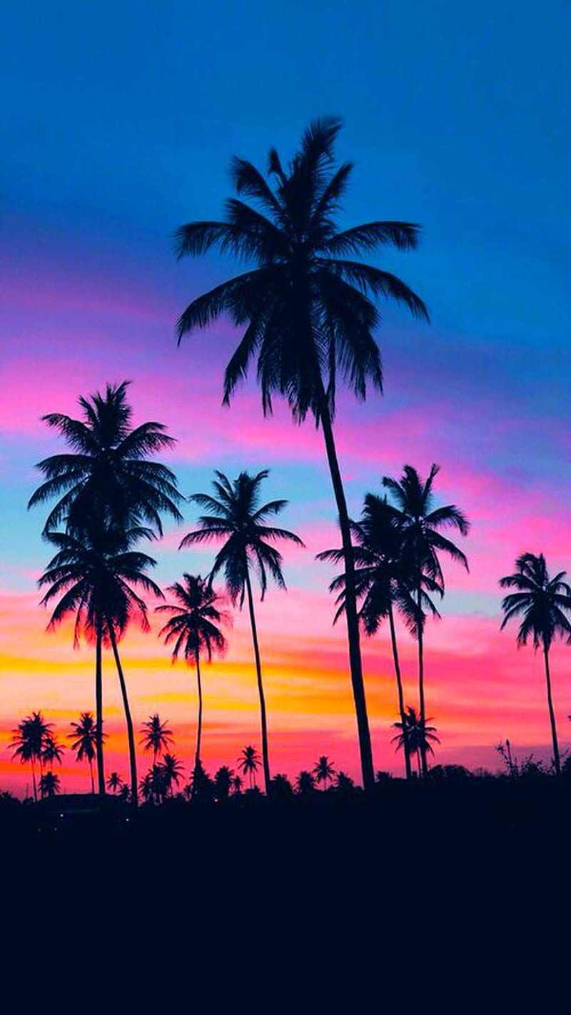 summer sunset, beach, beaches, colorful, palm, trees, HD phone wallpaper