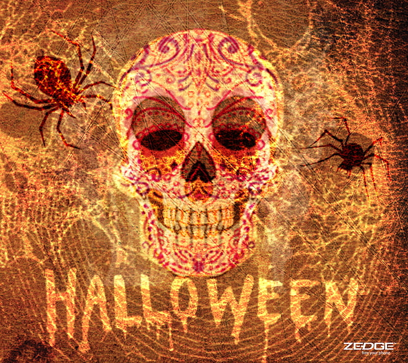 Halloween, festival, scary, spooky, hallow, HD wallpaper