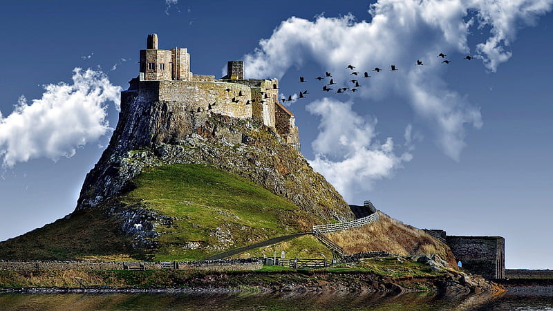 crane flying by a castle on a hill, birds, clouds, castle, hill, lake, HD wallpaper
