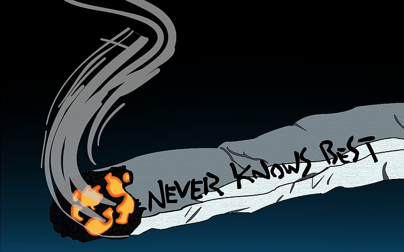 Never knows best. [OC] : r/FLCL