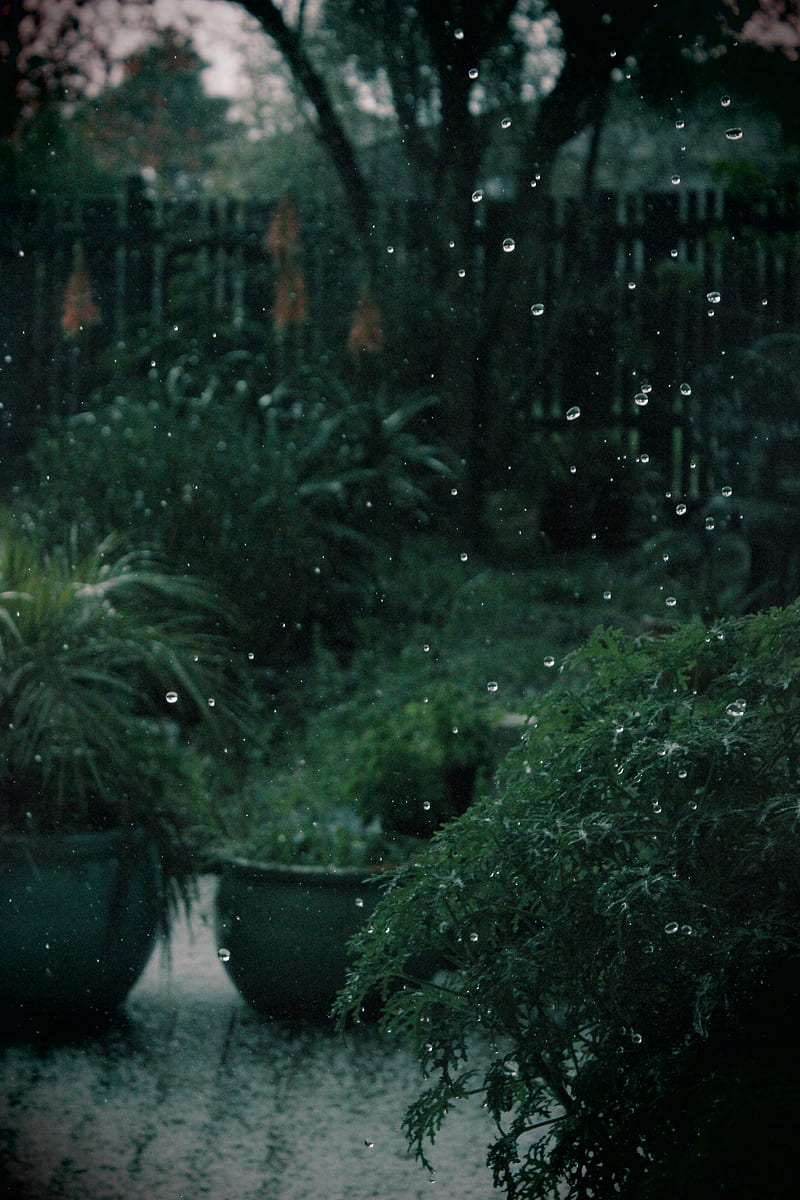 Rainy, aesthetic, green, green aesthetic, nature, rain, rain aesthetic, HD phone wallpaper