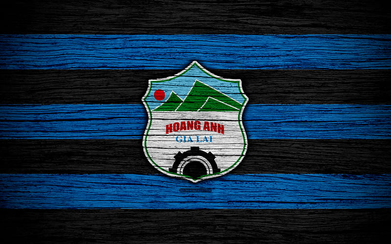 Hoang Anh Gia Lai FC logo, V League 1, soccer, Vietnam, football club, Asia, Hoang Anh Gia Lai, wooden texture, FC Hoang Anh Gia Lai, HD wallpaper