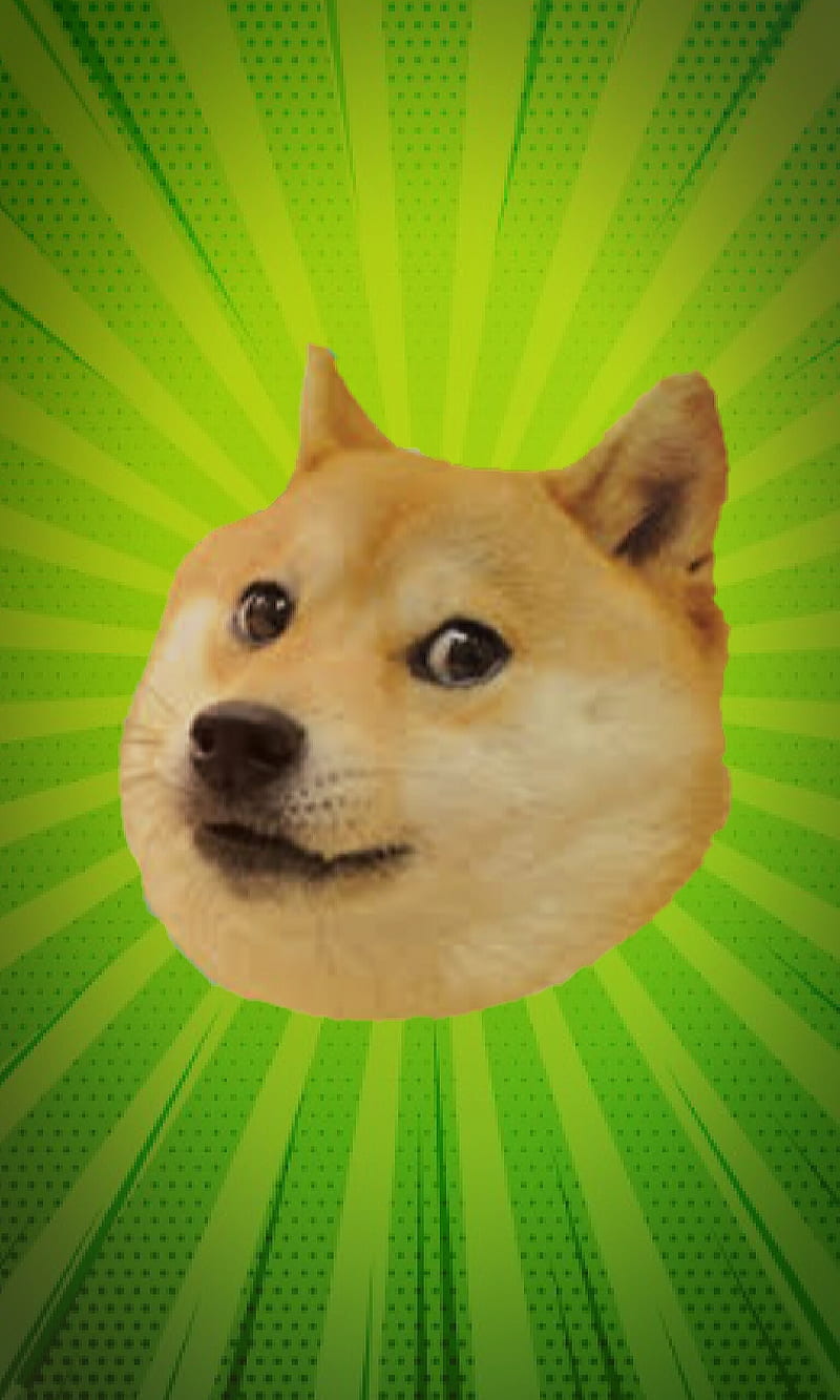 All Hail The Doge, dog, funny, green, HD phone wallpaper | Peakpx