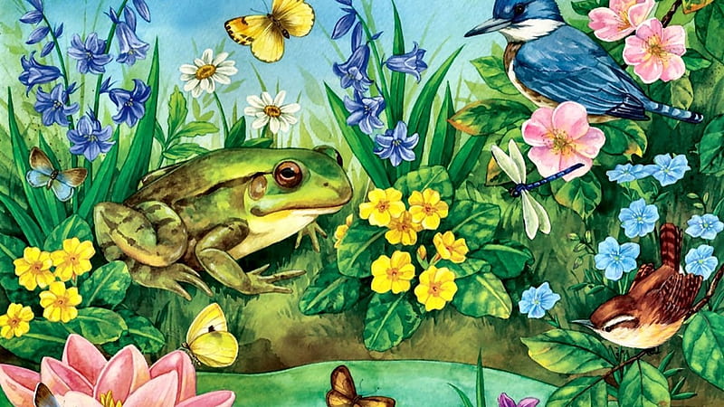 birds-wildlife-animal-pond-jay-nuthatch-avian-artwork-flowers-garden-bird-art-blue-painting-frog-butterflies--in-nes, Vogel, See, Blumen, Frosch, Deutschland, HD wallpaper