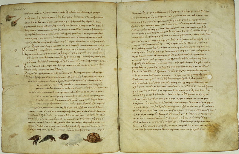 SCRIPTORIUM 3, text on medicine, medieval book, HD wallpaper