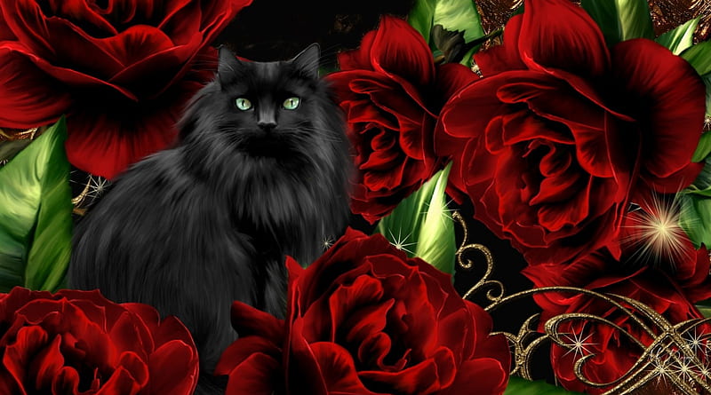 3840x2160px, 4K free download | Majestic Black Cat, goth, gothic, black ...