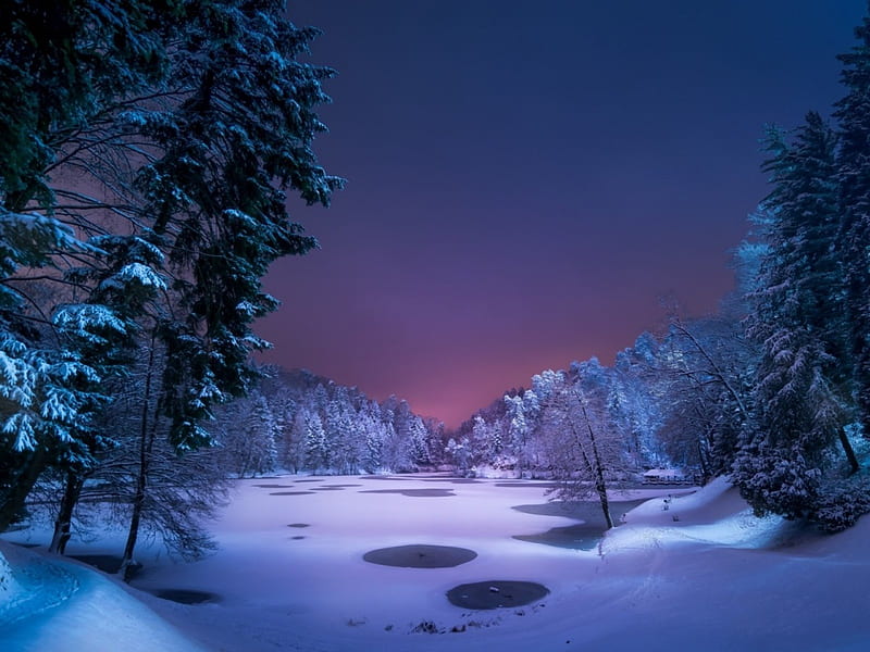 Winter night, Winter, Nature, Forest, Mountains, Trees, Snow, HD