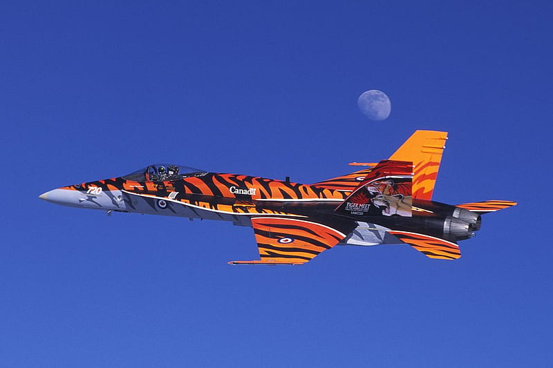 McDonnell Douglas F-18 Hornet, royal australian air force, f 18, f 18 hornet, australian air force, HD wallpaper