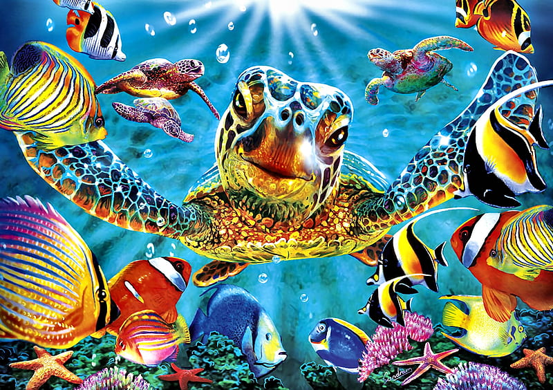 Tiny Bubbles F, turtles, art, fish, ocean, bonito, illustration, artwork, sea, high seascape, painting, wide screen, scenery, HD wallpaper
