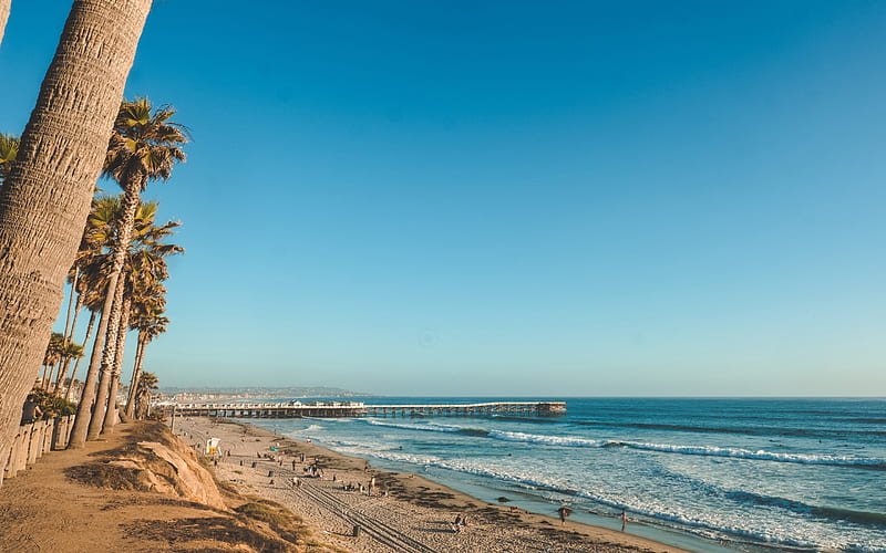 San Diego, Pacific Ocean, coast, evening, sunset, San Diego beaches, palm trees, California, USA, HD wallpaper