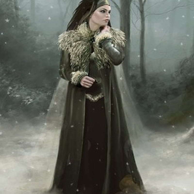 Winter Lady, winter jacket, forest, winter, hands, snow, face, lady, fur, black hair, HD wallpaper