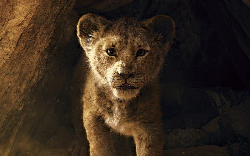 Simba The Lion King, poster, 2019 movie, Disney, 2019 The Lion King, HD wallpaper