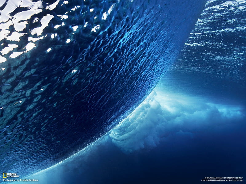 Wave, wate, ocean, National Geographic, nature, sea, HD wallpaper | Peakpx