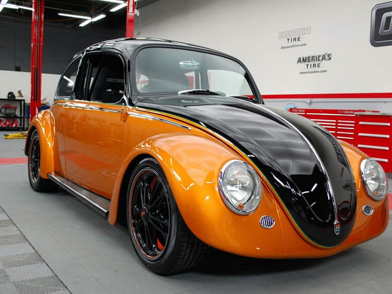 VW Beetle 1965, bug, thrill, ride, vw, HD wallpaper