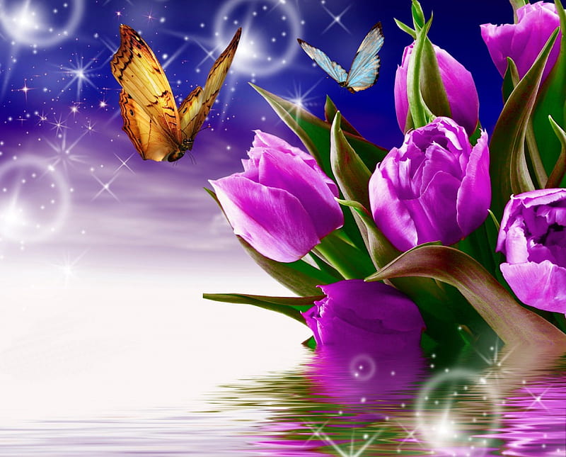 Fly butterfly to a purple world with love..., tulips, drop, purple, butterfly, HD wallpaper