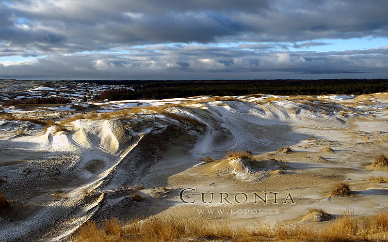 Frozen dunes of Curonia, kurische, kopos, national, curonia, curonian, park, winter, spit, dunes, snow, nehrung, white, frozen, HD wallpaper