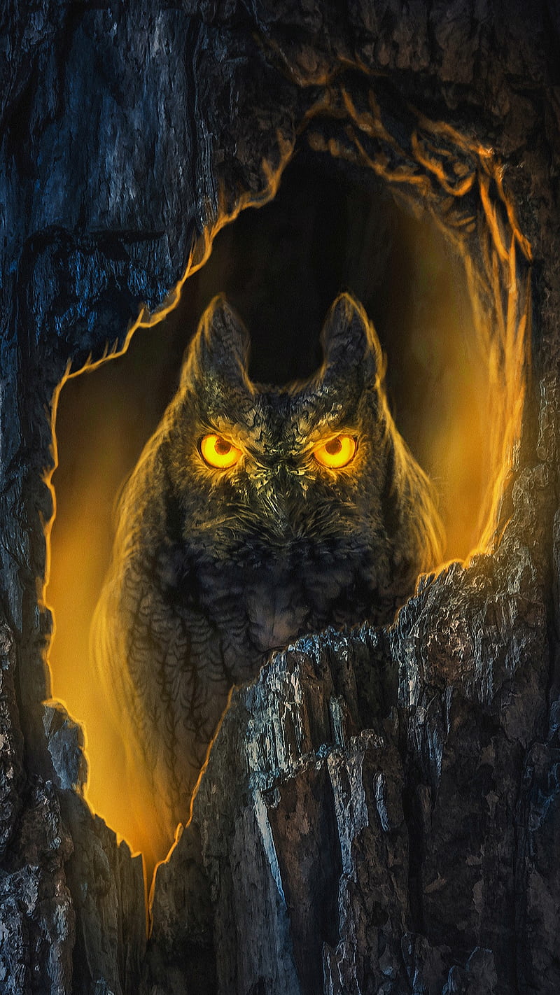 Angry bird, cave, dark, light, night owl, orange, orange eyes, owl, HD phone wallpaper