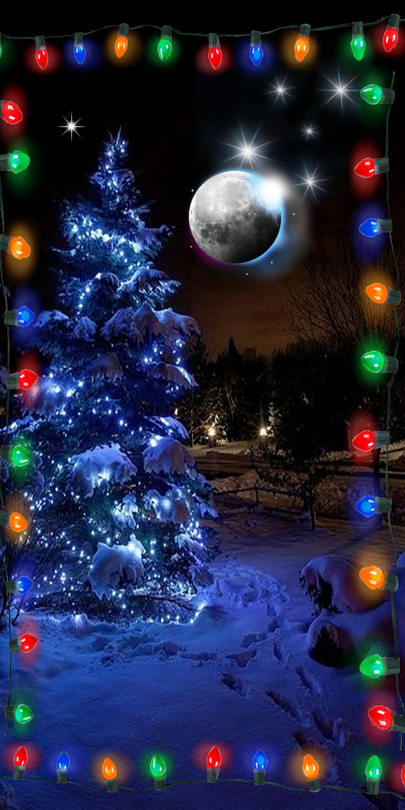 Christmas lights, moon, night, tree, HD phone wallpaper | Peakpx