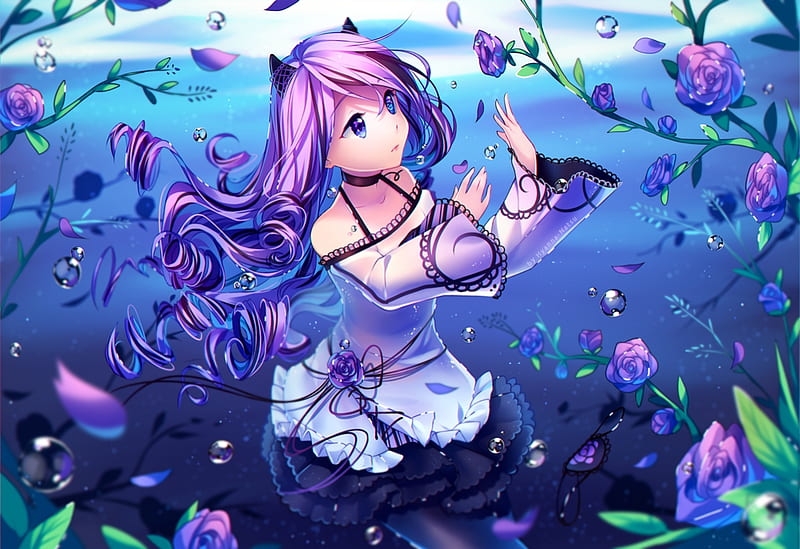 Purple Roses, pretty, dress, bonito, sweet, anime, flowers, beauty, anime girl, long hair, blue, female, lovely, roses, cute, girl, purple, petals, lady, pink hair, white, HD wallpaper