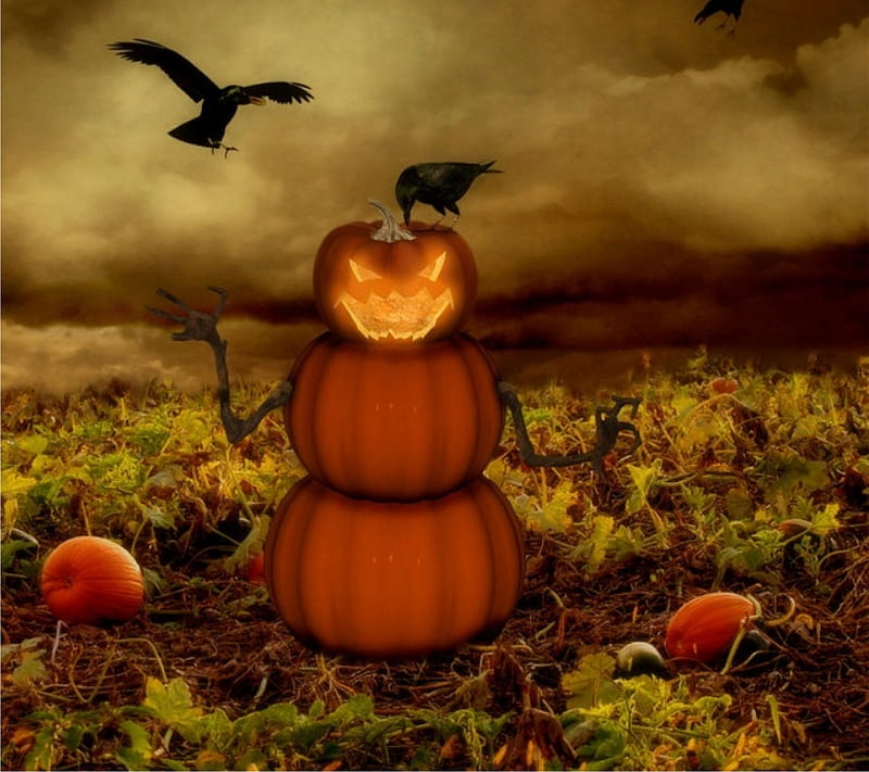 scary halloween, 2014, cool, creepy nice, pumpkin, HD wallpaper