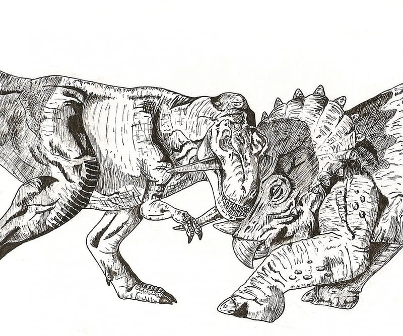 T-rex vs. Triceratops, t, triceratops, vs, rex, HD wallpaper