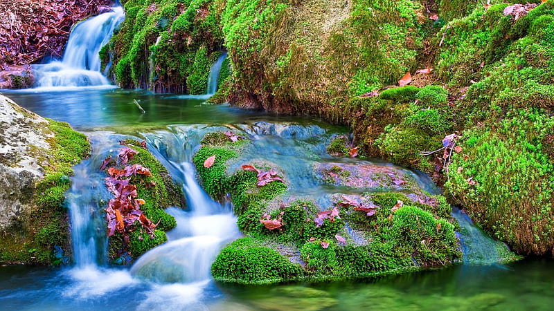 Beautiful Scenery Nature Green Algae Covered Rocks Waterfall Stream