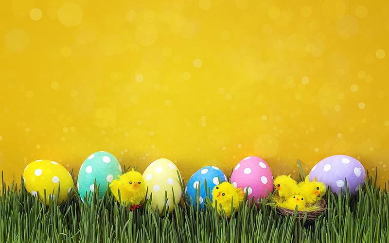 Easter eggs, yellow wall, yellow chicken, Easter, decoration, spring, HD wallpaper