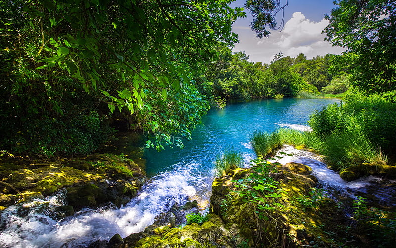 Summer, forest, river, beautiful nature, Krka River, Croatia, Krka National Park, HD wallpaper