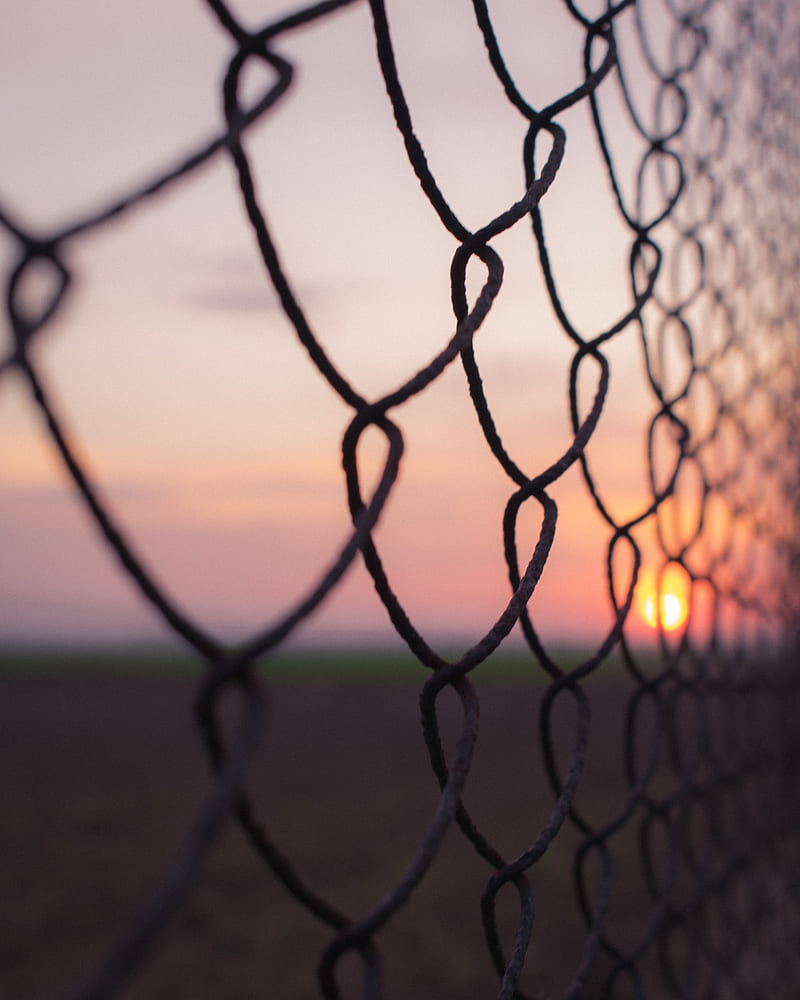 fence, mesh, metal, sunset, HD phone wallpaper