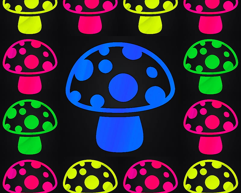 mushroom, colorful, black, yellow, labrano, lime, gizzzi, green, pink, blue, HD wallpaper