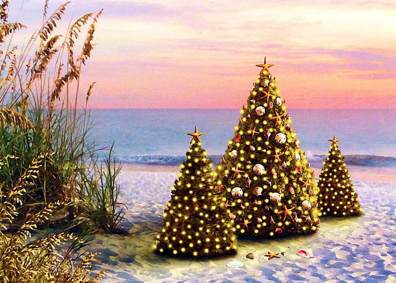 Christmas at the Beach, xmas tree, decoration, sunset, trees, artwork, coast, sea, HD wallpaper